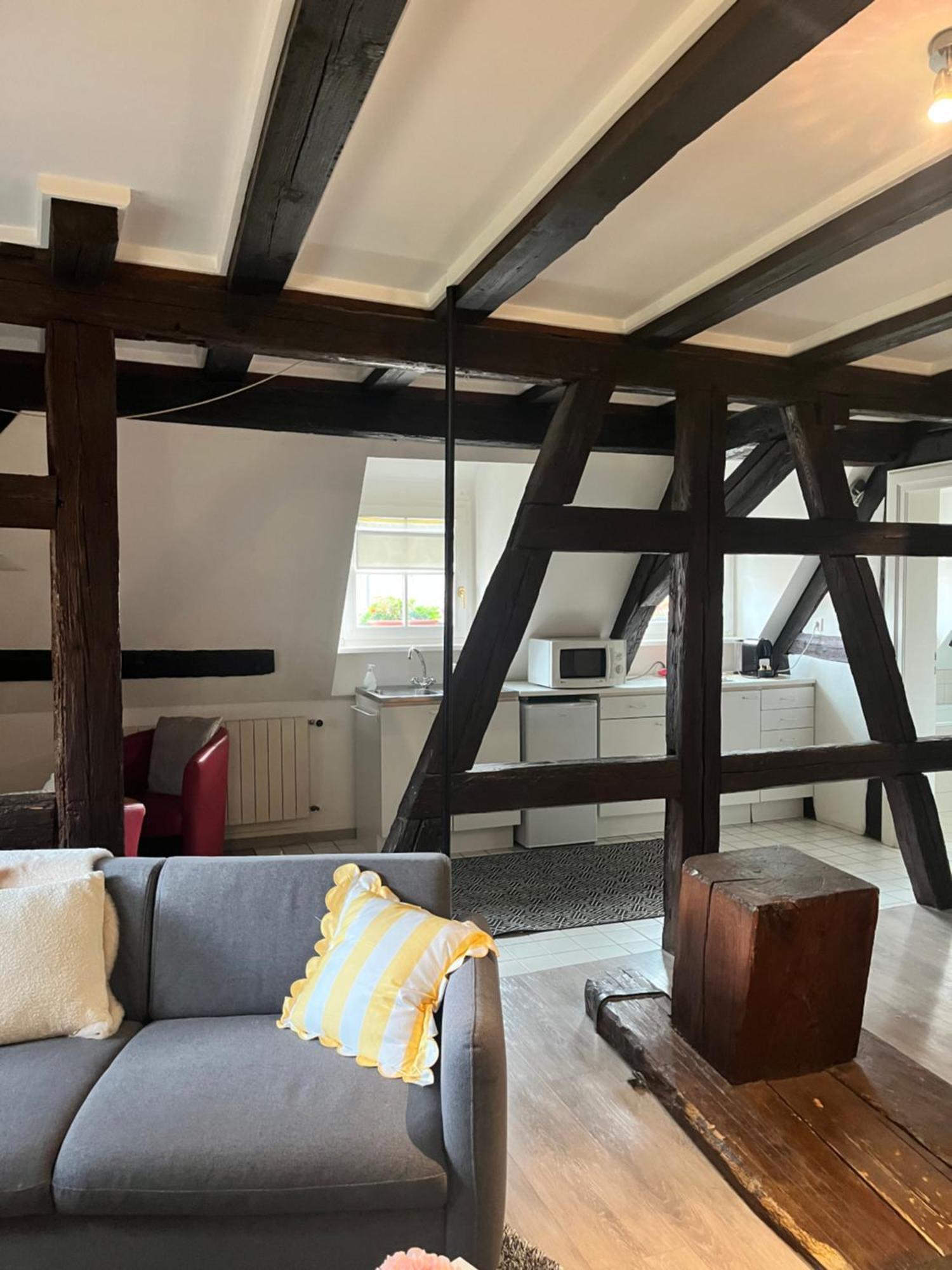 Appartement Bastion De Riquewihr Bagian luar foto