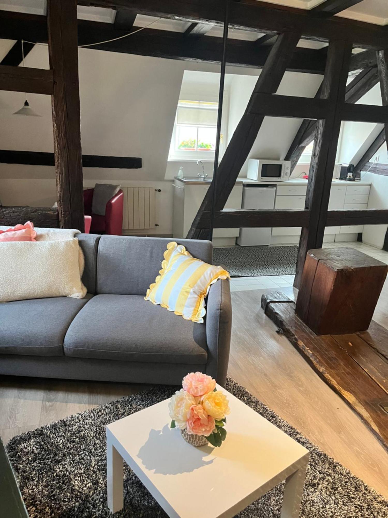 Appartement Bastion De Riquewihr Bagian luar foto